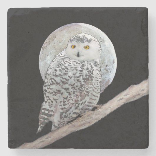 Snowy Owl and Moon Painting - Original Bird Art Steinuntersetzer (Vorderseite)