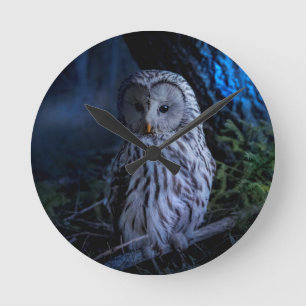Snowy Owl at Night Runde Wanduhr