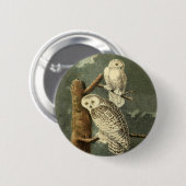 Snowy Owl Audubon Bird Artwork Button (Vorne & Hinten)