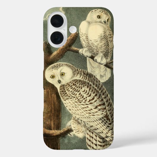 Snowy Owl Audubon Bird Artwork Case-Mate iPhone Hülle (Rückseite)