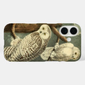 Snowy Owl Audubon Bird Artwork Case-Mate iPhone Hülle (Rückseite (Horizontal))