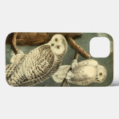 Snowy Owl Audubon Bird Artwork Case-Mate iPhone Hülle (Rückseite (Horizontal))