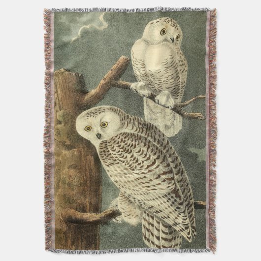 Snowy Owl Audubon Bird Artwork Decke (Vorderseite Vertikal)