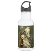 Snowy Owl Audubon Bird Artwork Edelstahlflasche (Vorderseite)