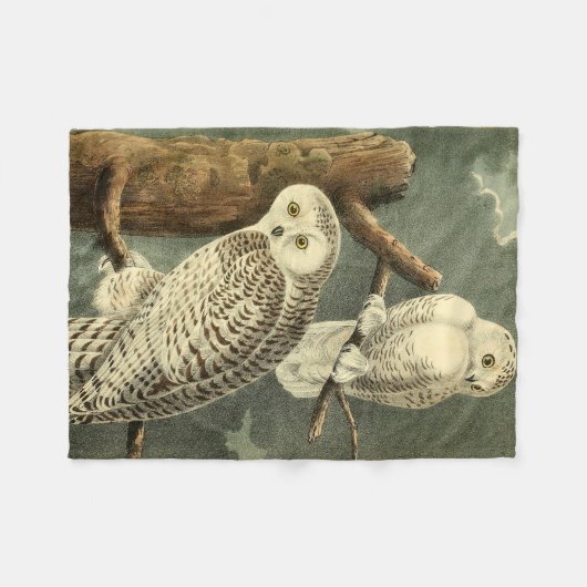 Snowy Owl Audubon Bird Artwork Fleecedecke (Vorderseite (Horizontal))