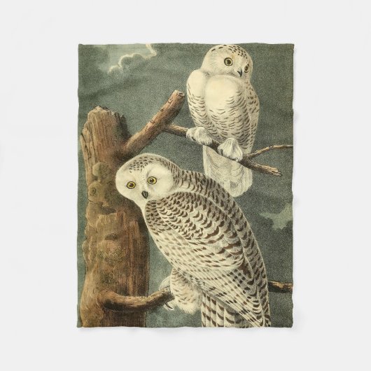Snowy Owl Audubon Bird Artwork Fleecedecke (Vorderseite)