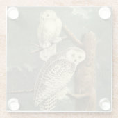 Snowy Owl Audubon Bird Artwork Glasuntersetzer (Rückseite)