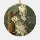Snowy Owl Audubon Bird Artwork Keramikornament (Vorne)