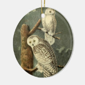 Snowy Owl Audubon Bird Artwork Keramikornament (Links)