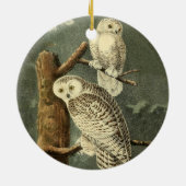 Snowy Owl Audubon Bird Artwork Keramikornament (Hinten)