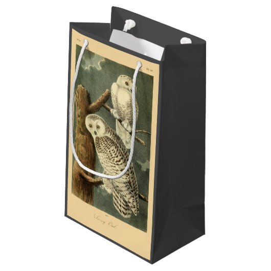 Snowy Owl Audubon Bird Artwork Kleine Geschenktüte (Rückseite Schrägansicht)