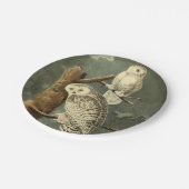 Snowy Owl Audubon Bird Artwork Pappteller (Schrägansicht)