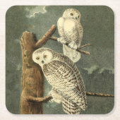 Snowy Owl Audubon Bird Artwork Rechteckiger Pappuntersetzer (Vorderseite)
