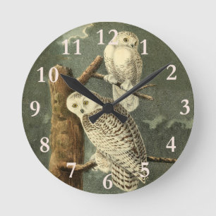 Snowy Owl Audubon Bird Artwork Runde Wanduhr