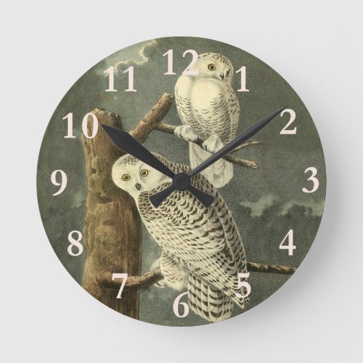 Snowy Owl Audubon Bird Artwork Runde Wanduhr (Vorderseite)