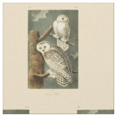 Snowy Owl Audubon Bird Artwork Stoff (Nahaufnahme)
