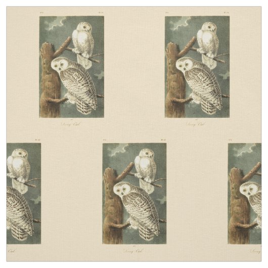 Snowy Owl Audubon Bird Artwork Stoff (Muster)