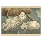 Snowy Owl Audubon Bird Artwork Tischdecke (Vorderseite (Horizontal))