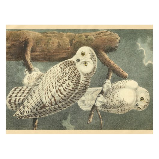 Snowy Owl Audubon Bird Artwork Tischdecke (Vorderseite (Horizontal))