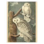 Snowy Owl Audubon Bird Artwork Tischdecke (Vorderseite)