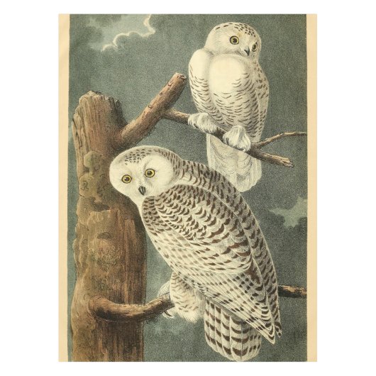 Snowy Owl Audubon Bird Artwork Tischdecke (Vorderseite)