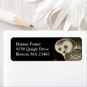 Snowy Owl - Audubon Vintage Vögel Amerika (Insitu)