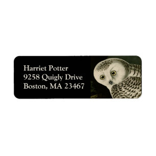 Snowy Owl - Audubon Vintage Vögel Amerika