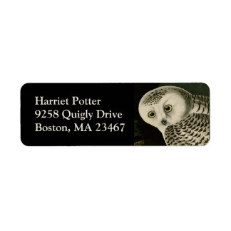 Snowy Owl - Audubon Vintage Vögel Amerika