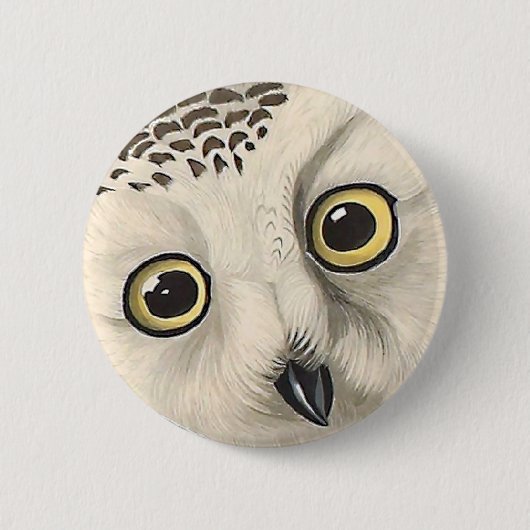 Snowy Owl - Audubon Vintage Vögel Amerika Button (Vorderseite)