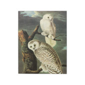 Snowy Owl - Audubon Vintage Vögel Amerika Notizblock (Rotiert)