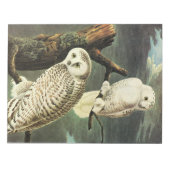 Snowy Owl - Audubon Vintage Vögel Amerika Notizblock (Vorderseite)