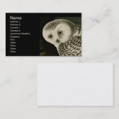 Snowy Owl - Audubon Vintage Vögel Amerika Visitenkarte (Vorne/Hinten)