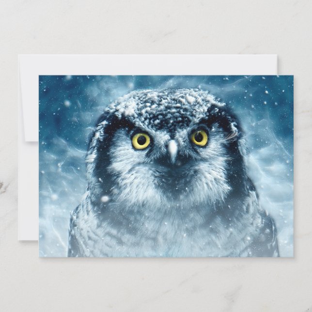 Snowy Owl Big Eyes (Vorderseite)