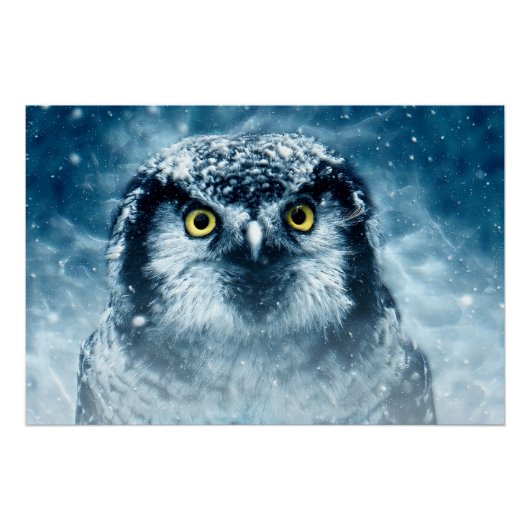 Snowy Owl Big Eyes Poster (Vorderseite)