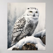 Snowy Owl Bird Art Print Poster (Vorne)