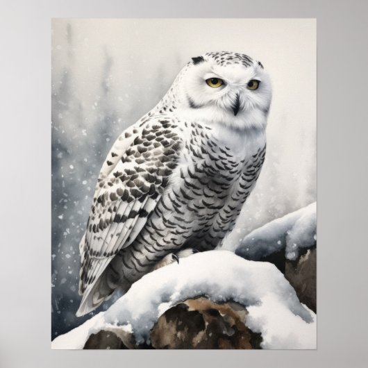 Snowy Owl Bird Art Print Poster (Vorne)