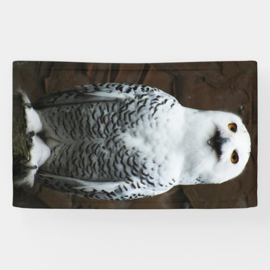 Snowy Owl bnrcnm Banner (Horizontal)