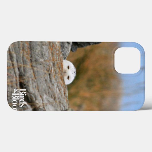 Snowy Owl Case-Mate iPhone Hülle (Rückseite (Horizontal))