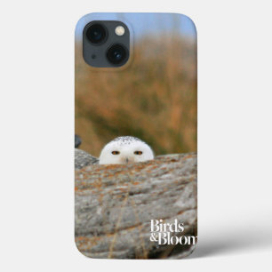 Snowy Owl Case-Mate iPhone Hülle