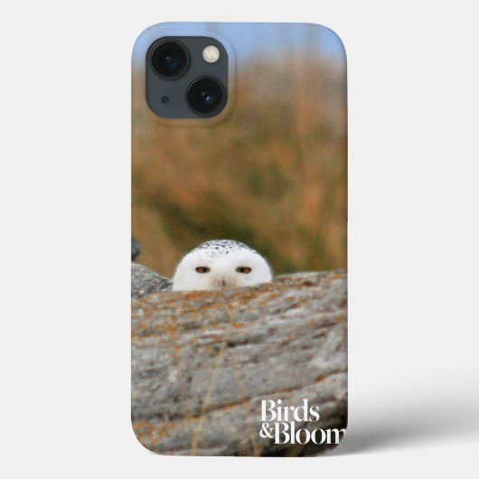 Snowy Owl Case-Mate iPhone Hülle (Rückseite)