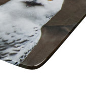 Snowy Owl cbcnm Schneidebrett (Ecke)