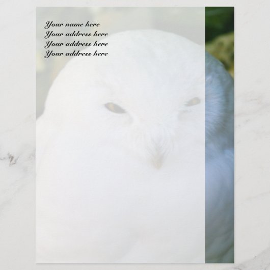 Snowy Owl Custom Letterhead Briefkopf (Vorderseite)