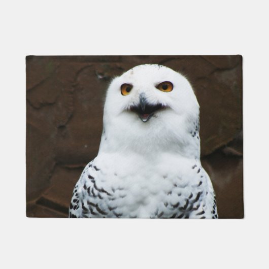 Snowy Owl dmcna Fußmatte (Vorderseite)