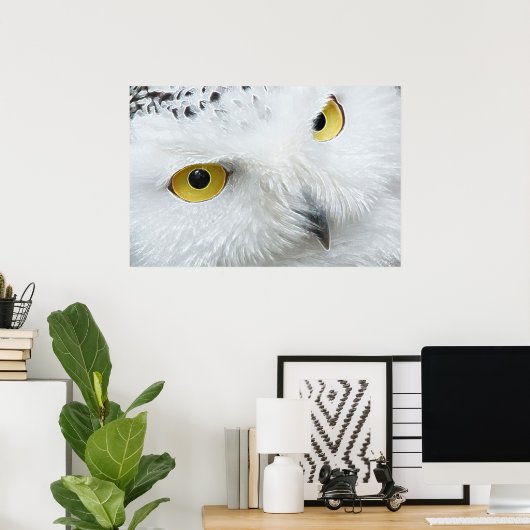 SNOWY OWL EYES POSTER (Heimbüro)
