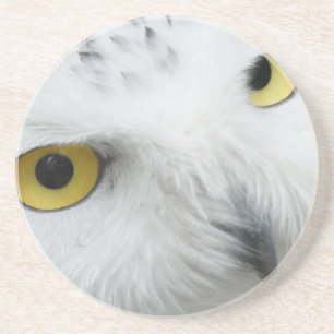 Snowy Owl Eyes Untersetzer