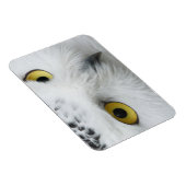 Snowy Owl Foto Flexible Magnet (Rechte Seite)