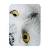 Snowy Owl Foto Flexible Magnet (Vertikal)
