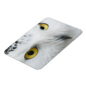 Snowy Owl Foto Flexible Magnet (Linke Seite)