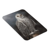 Snowy Owl Foto Magnet (Rechte Seite)