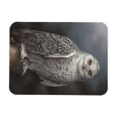 Snowy Owl Foto Magnet (Horizontal)